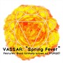 Spring Fever (Explicit)