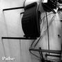 Pulse Adult