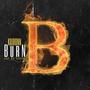 Burn (feat. Jae Da’costa) [Explicit]