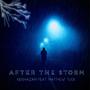 After the storm (feat. Matthew Tuck)