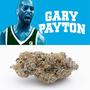 Gary Payton (Explicit)