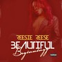 Beautiful Beginningz (Explicit)