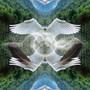 ReAlignment