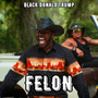 Felon