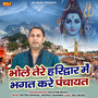 Bhole Tere Haridwar Me Bhagat Kare Panchayat