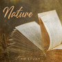 Nature to Study: Relaxing Music to Help you Concentrate and Focus, Easier to Absorb Knowledge