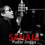 Pudar Jingga