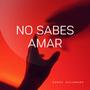 No Sabes Amar