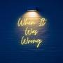 When It Was Wrong (feat. Steve Banks, Geoff Wright, Lucius Borich, Glenn Kellett, Martha Baartz, Byron Christie & Wojciech Bilski)