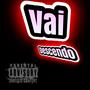 Vai Descendo (feat. Mc Mr. Bim) [Explicit]