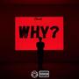 WHY? (Explicit)