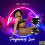 Temporary Love (Explicit)