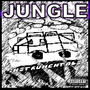 JUNGLE ADVENTURES (INSTRUMENTALS)