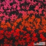 La Primavera