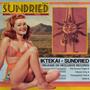 Sundried (Explicit)