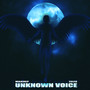 Unknown Voice (Explicit)