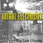 Animal Electricity