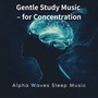 Gentle Study Music – for Concentration