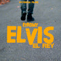 Elvis El Rey