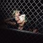 UNLEASHED (Explicit)