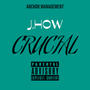 Crucial (Explicit)