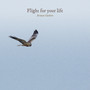 Flight for your life