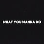 What You Wanna Do (Explicit)