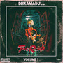 The Rona, Vol. 1 (Explicit)