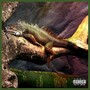 Iguana on a Branch (Explicit)