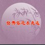 仿佛你还未走远