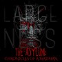 The Asylum: Chronicles of a Madman (Explicit)