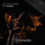 Savhana