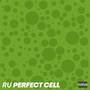 Perfect Cell (Explicit)