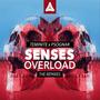 Senses Overload (VIP Mix)