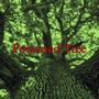 Poisoned Tree (Explicit)