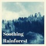 Soothing Rainforest: HQ Nature Sounds (Rain, Forest, Wind, River)