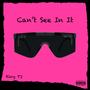 Can’t See In It (Explicit)
