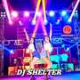 DJ SHELTER -INST