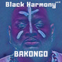 Bakongo, Vol.8