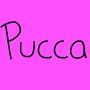 Pucca