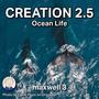 Creation 2.5 (Ocean Life)