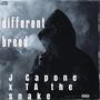 Villains: Different Breed ep (Explicit)