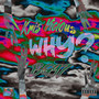 Why? (Explicit)