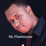 Mr. Flamboyant