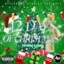 12 Days of Christmas Freestyle (feat. D-Raww) [Explicit]