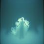 Gravity Ghost