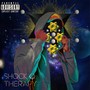 Shock Therapy (Explicit)