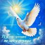 Пусть летят по небу птицы