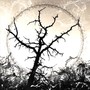 Seasonal