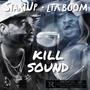 KILL SOUND (feat. StartUp) [Explicit]